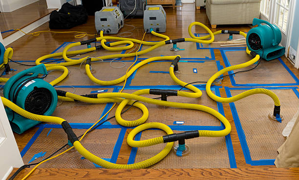 Professional Flood Damage Restoration technician working in Greenwood, ME
